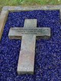 image of grave number 556254
